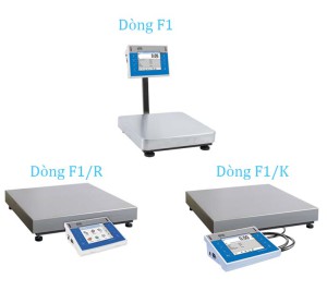 WPY 30/F1 Cân đa năng